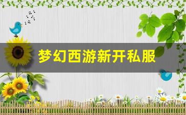 梦幻西游新开私服 (16)