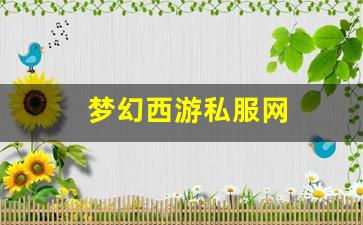 梦幻西游私服网 (6