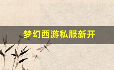 新开sf:梦幻西游私