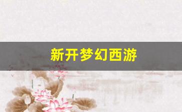 新开梦幻西游 (11)