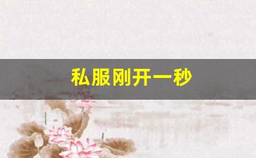 私服刚开一秒(新开一