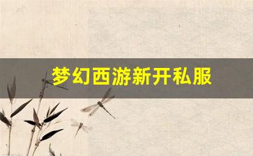 梦幻西游新开私服 (