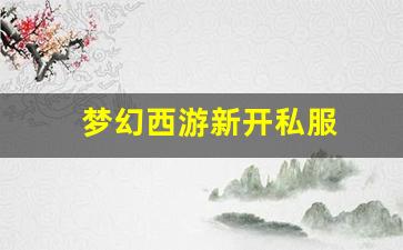 梦幻手游私服:梦幻西