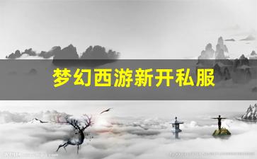 梦幻西游新开私服 (