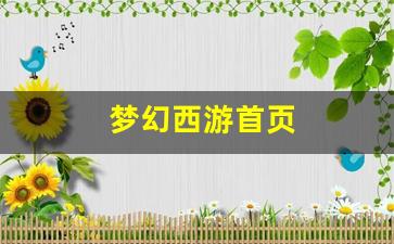 最新开梦幻西游私服: