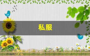 私服(伺服电机编码器故障及维修) (2)
