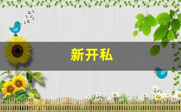 新开私(新开私股)