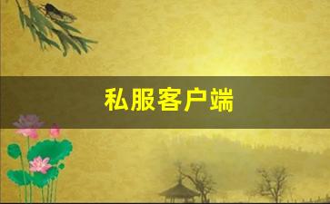 私服客户端 (6)