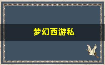 最新梦幻西游私服发布