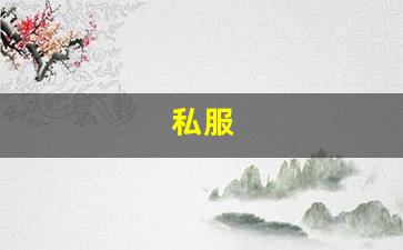 私服(私人服装是什么