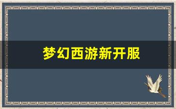 梦幻西游新开服(梦幻